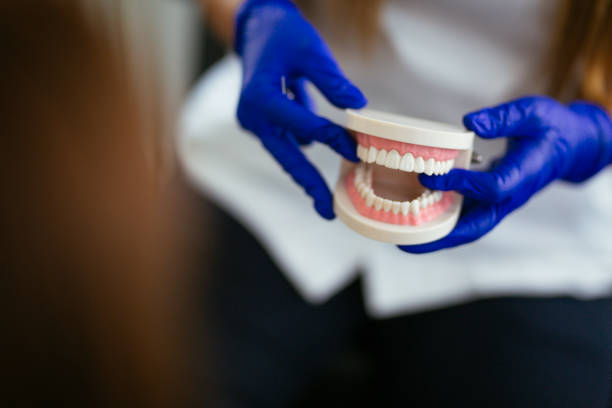 Best Traditional Braces  in Edgewood, KY